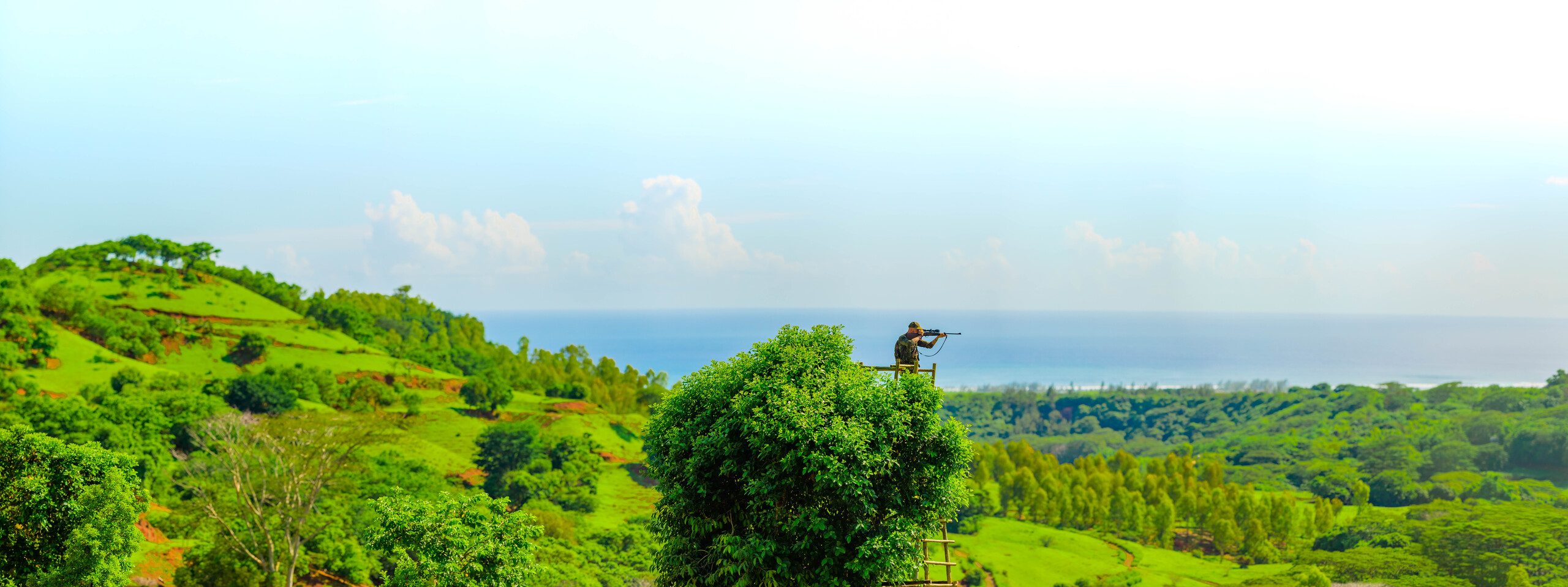 hunting in mauritius