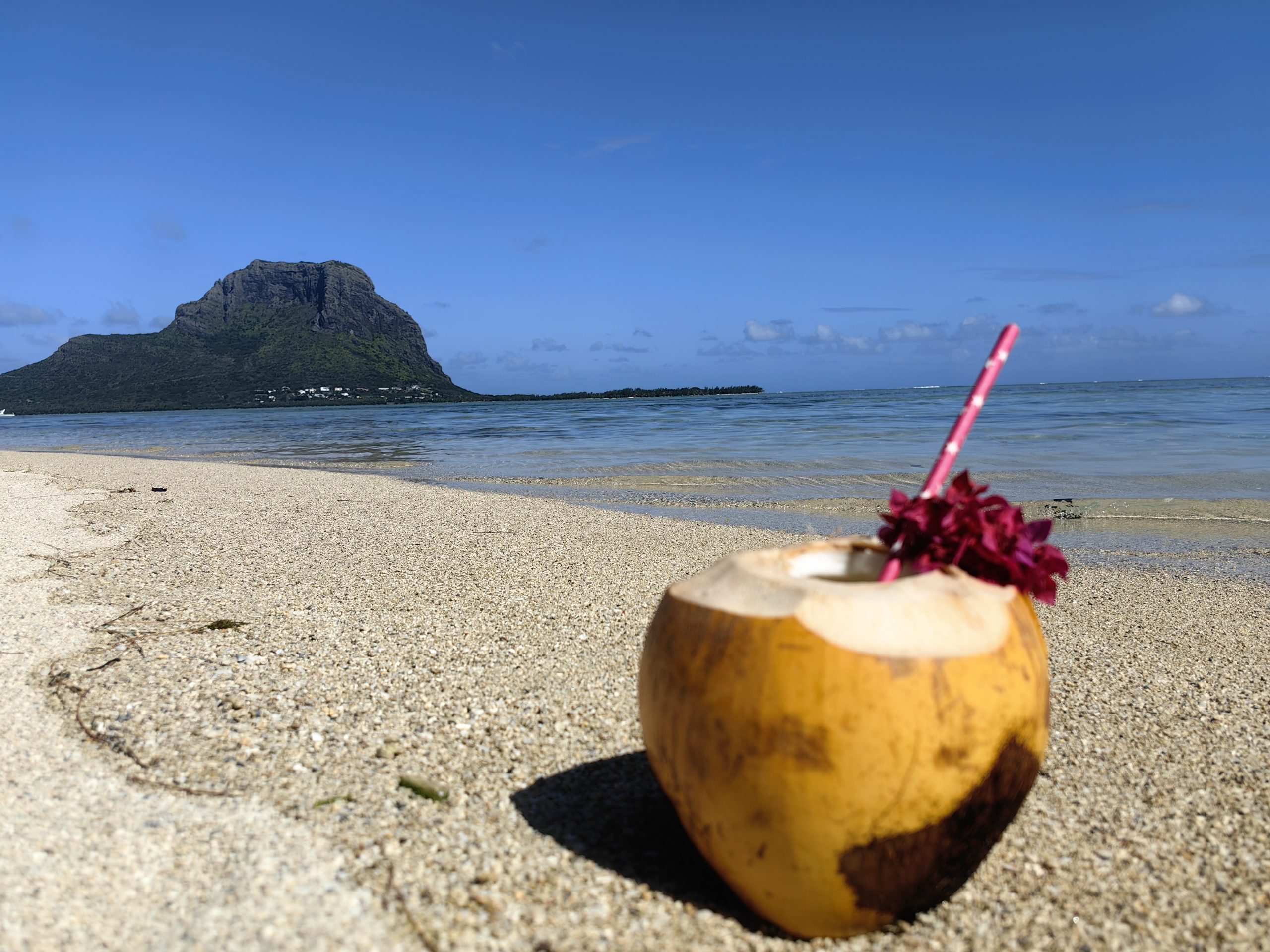 Accommodation in Mauritius - Tropical Landscape & Domain Views